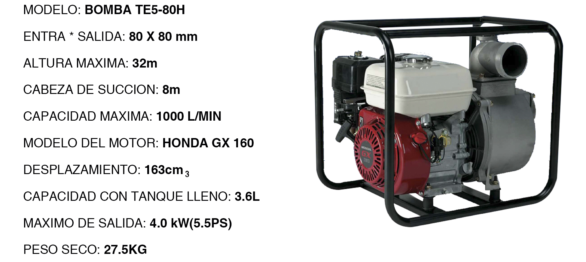BOMBA GASOLINA TE5-80H
